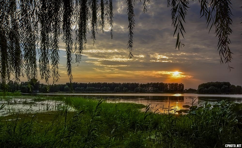 _OSC2417d.jpg