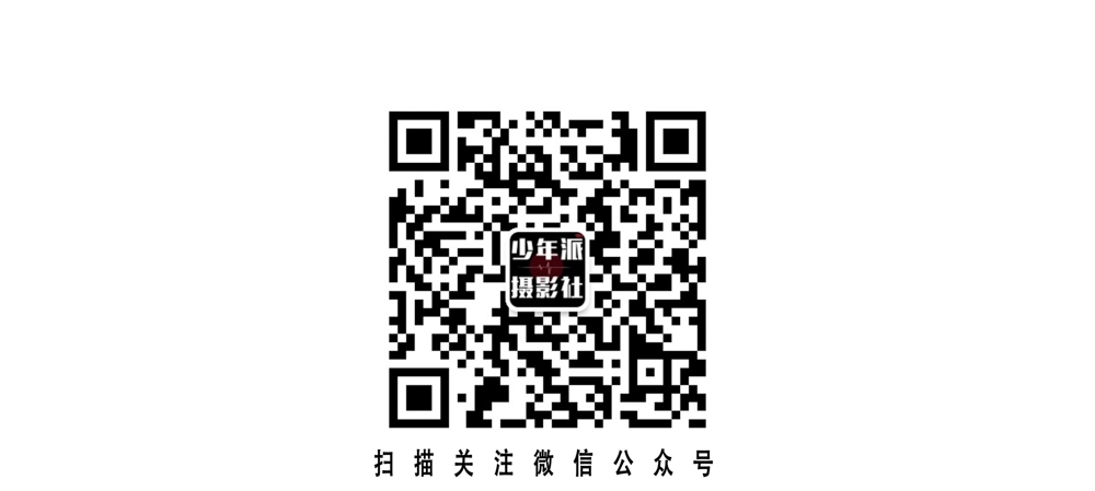 论坛 网站公众号.JPG