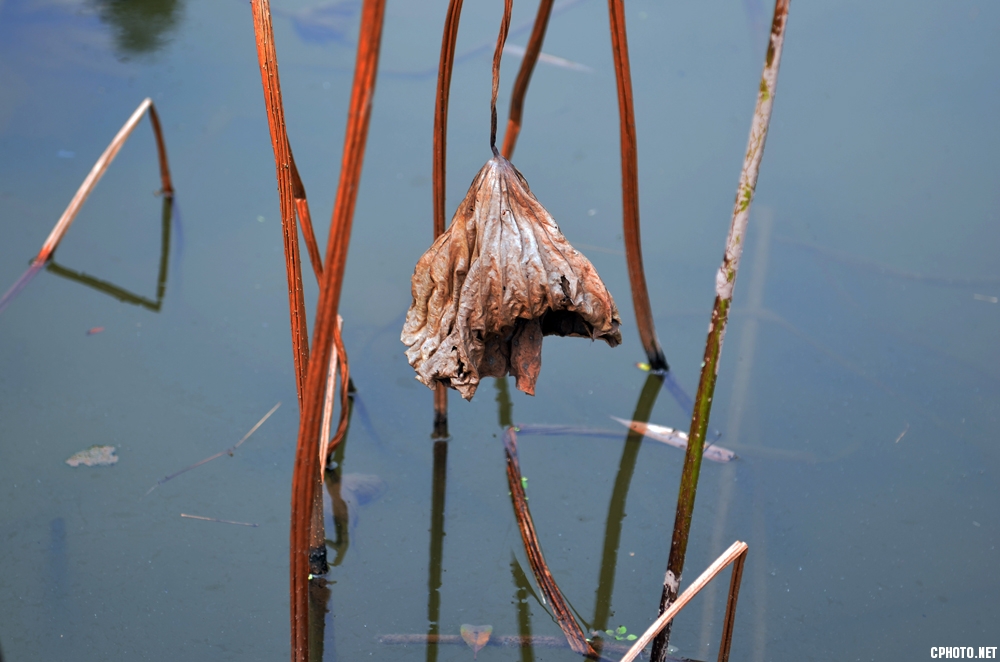 DSC_1140.JPG