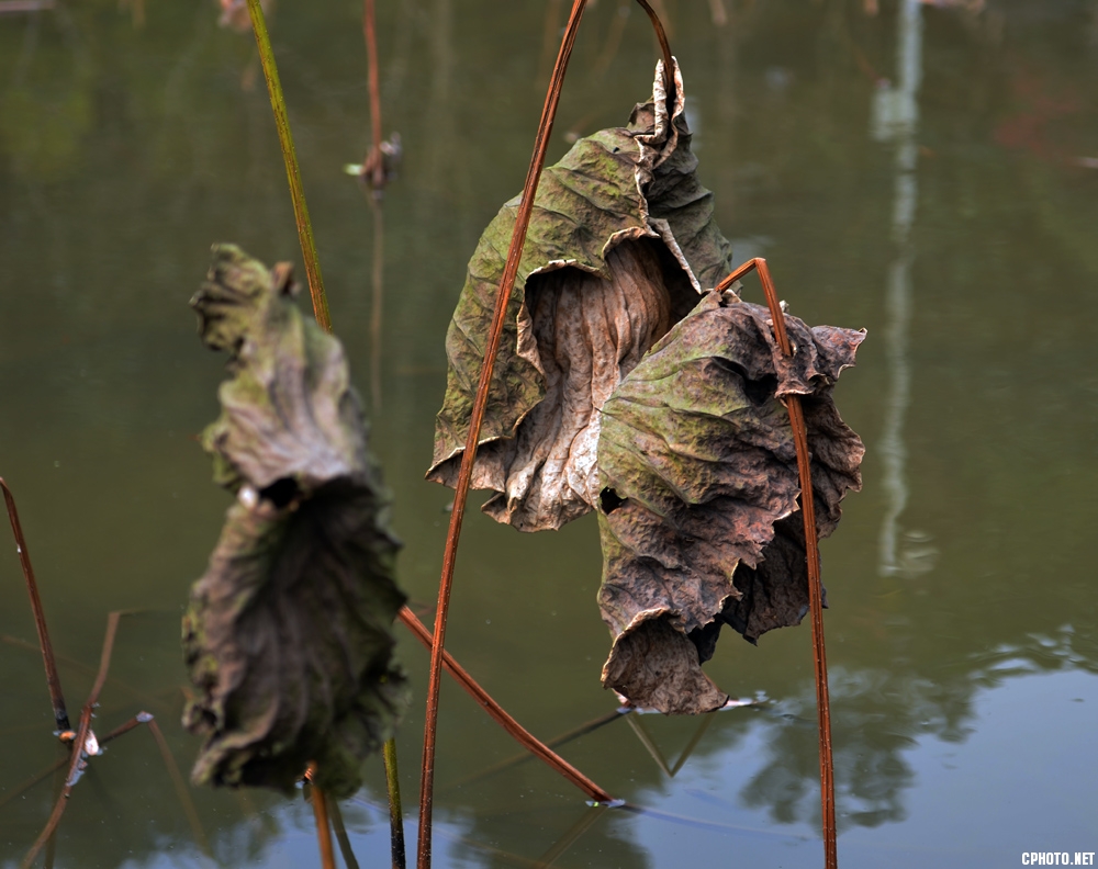 DSC_1143.JPG
