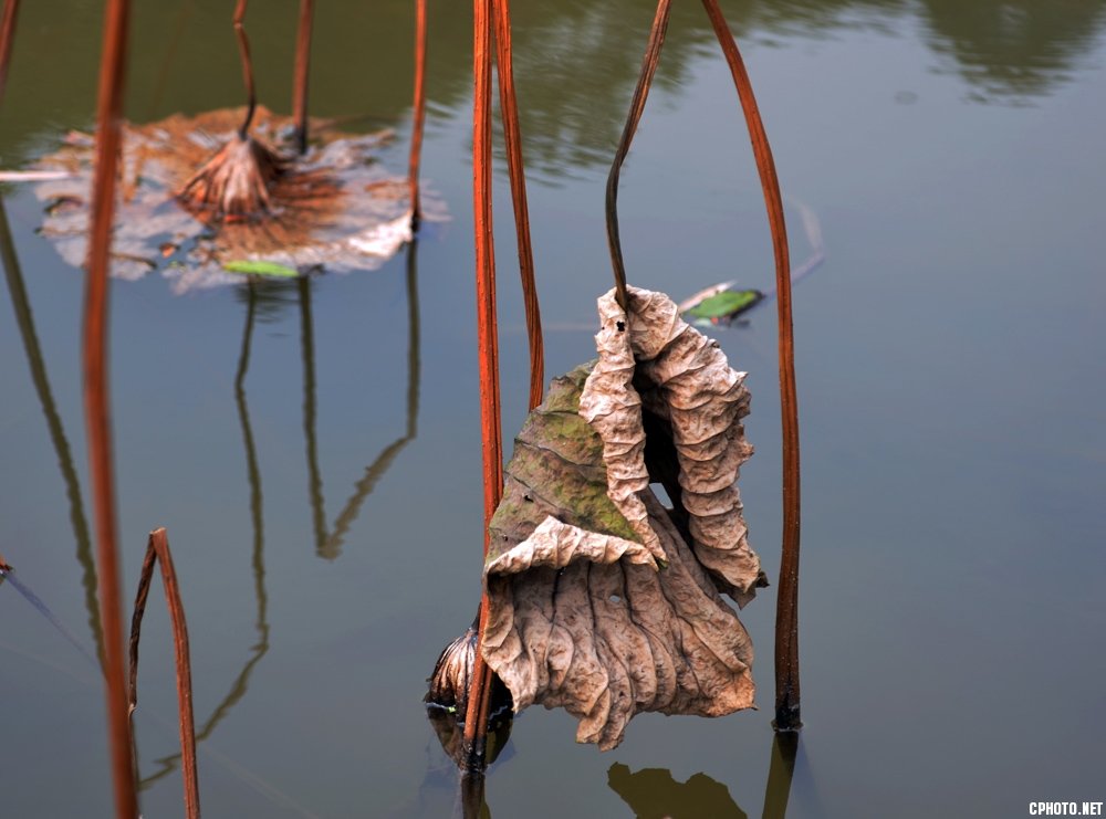 DSC_1144.JPG