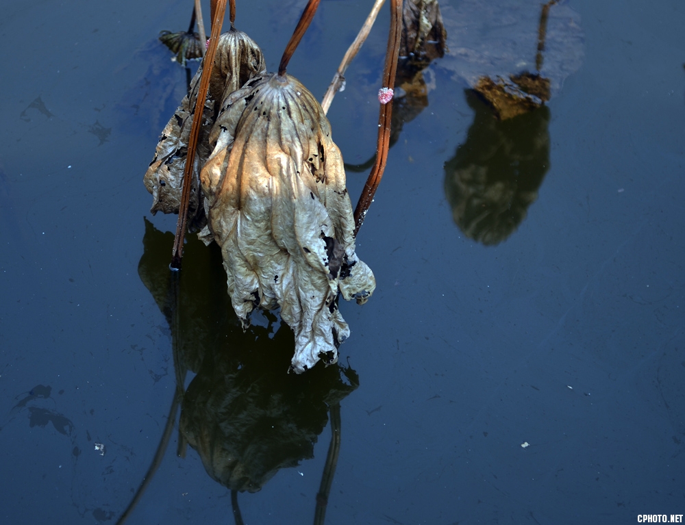 DSC_1028.JPG