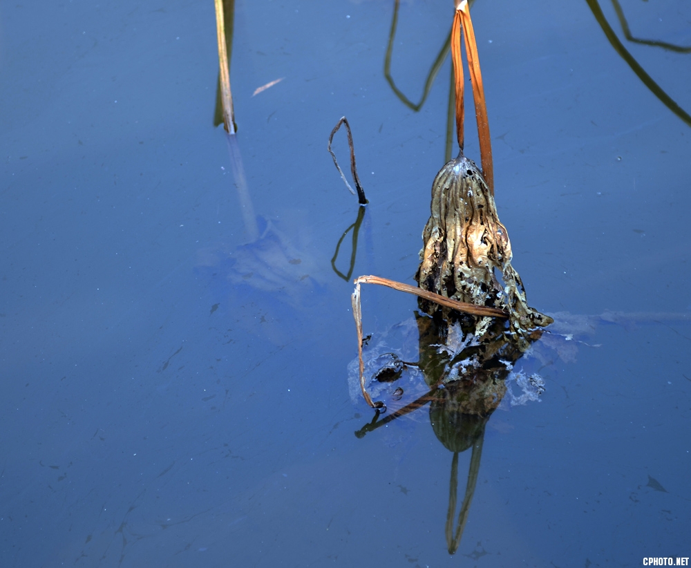 DSC_1032.JPG