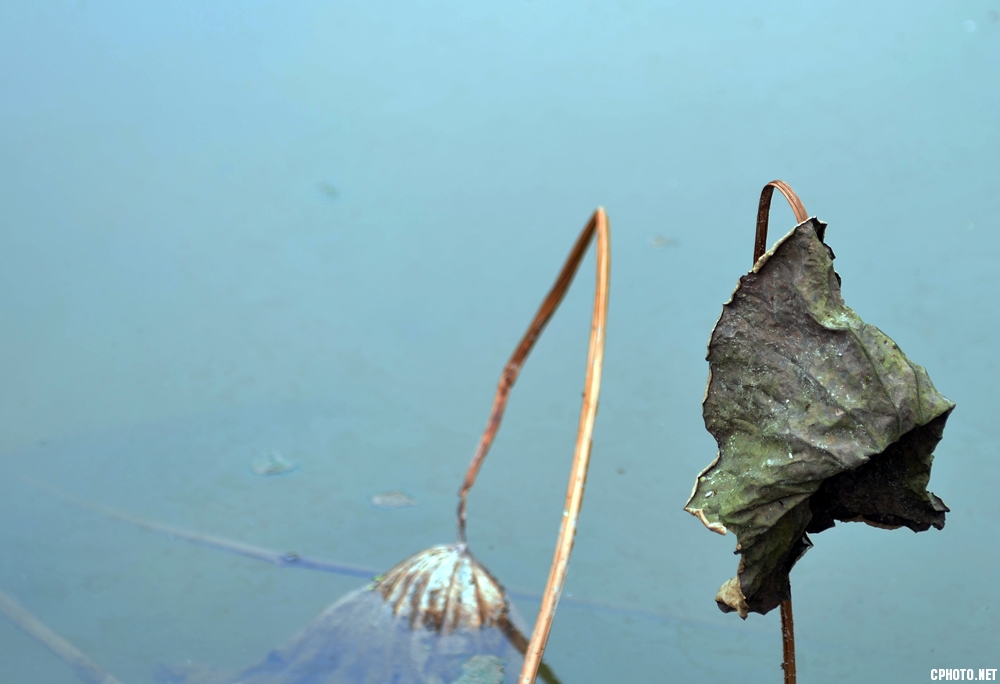 DSC_1137.JPG