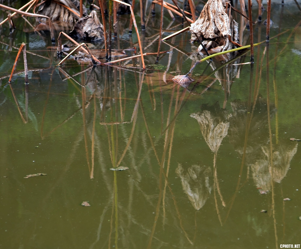 DSC_1138.JPG