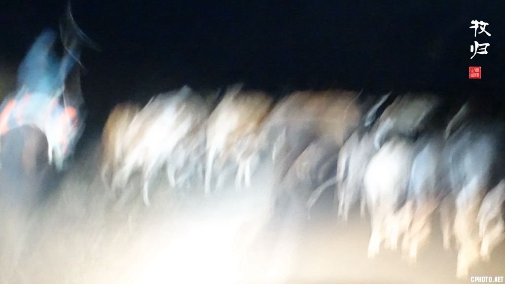 DSC01493_副本1_副本.jpg