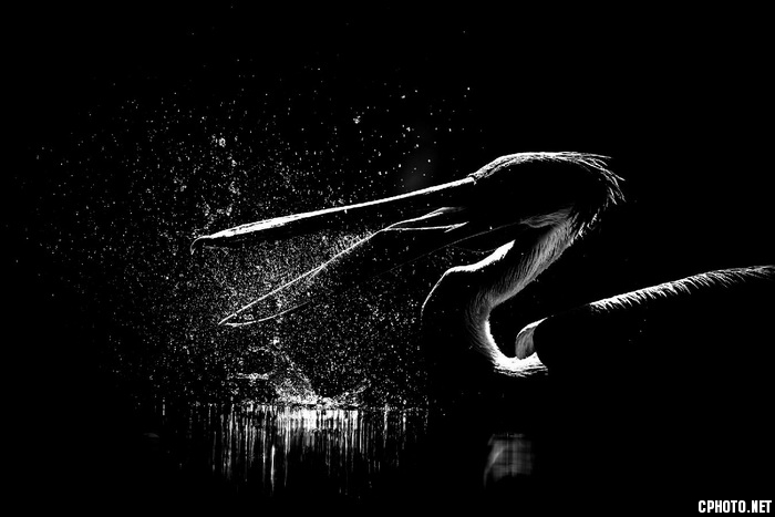 beauty in dark_调整大小.jpg