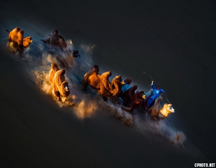 gallop on the battlefield_调整大小.jpg