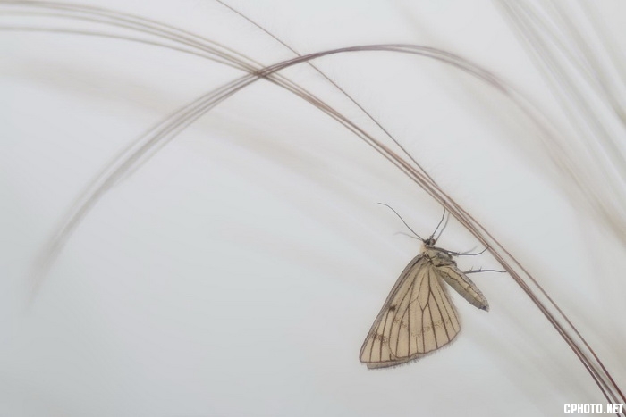 drawing of a butterfly_调整大小.jpg