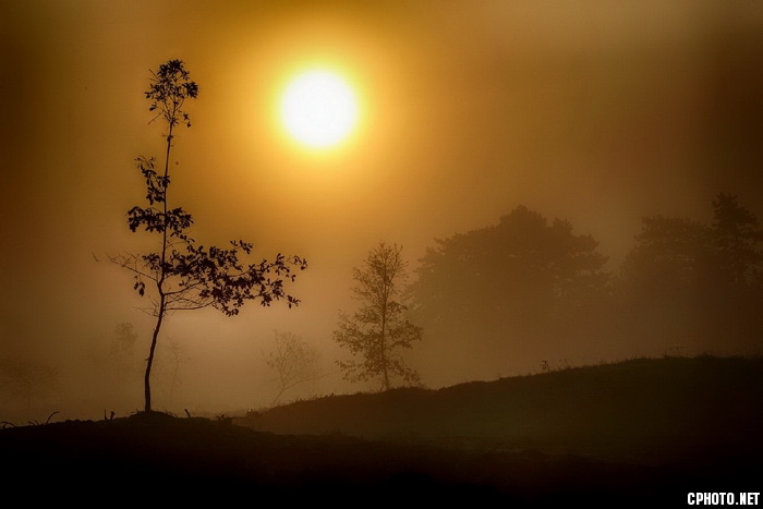 ravishing autumn_调整大小.jpg
