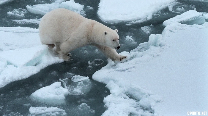 walking in the ice_调整大小.jpg