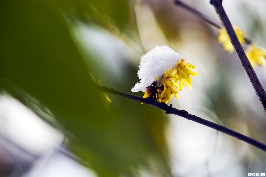 DSC_5908.jpg