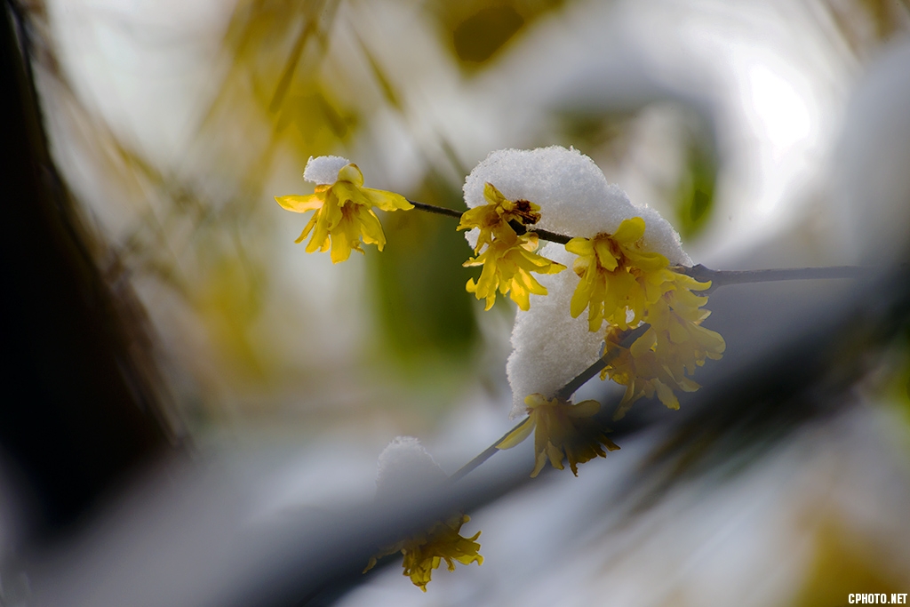 DSC_5917 (2).jpg