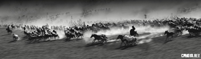 佘佳虎 ten thousand steeds gallop bw_调整大小.jpg