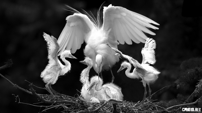 it is happy bw_调整大小.jpg