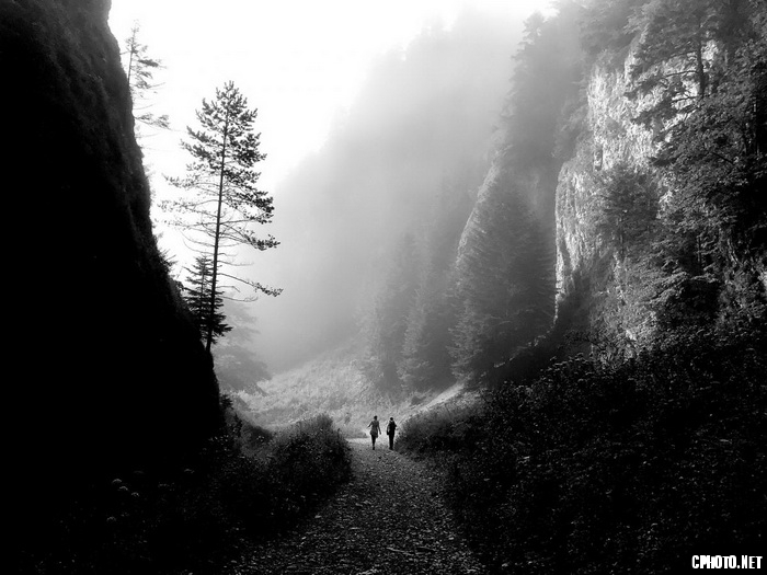 wanderes_调整大小.jpg