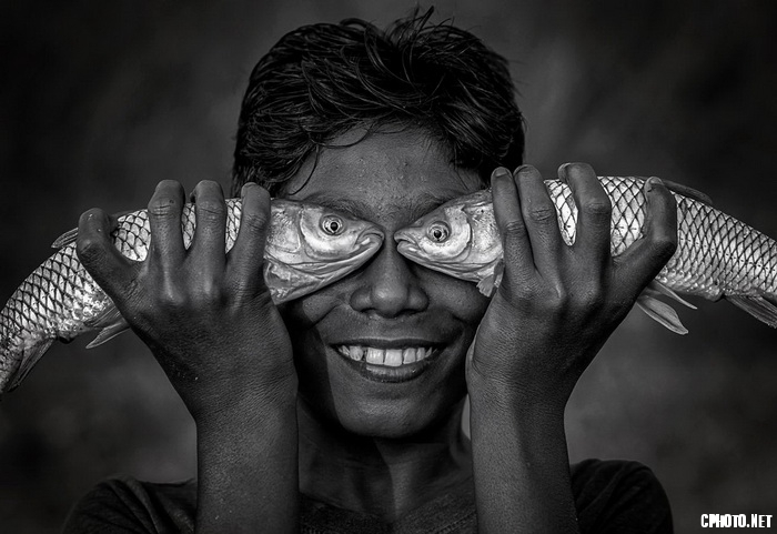 fishy eyes_调整大小.jpg
