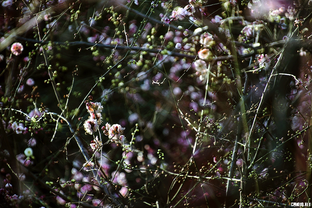 DSC_6301 (2).jpg