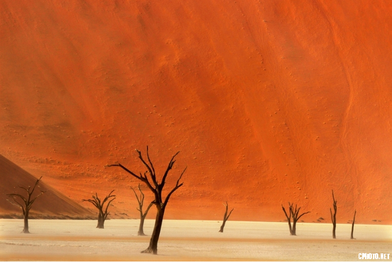 Dead Vlei Dune - GRADAC PGI Bronze medal_调整大小.png