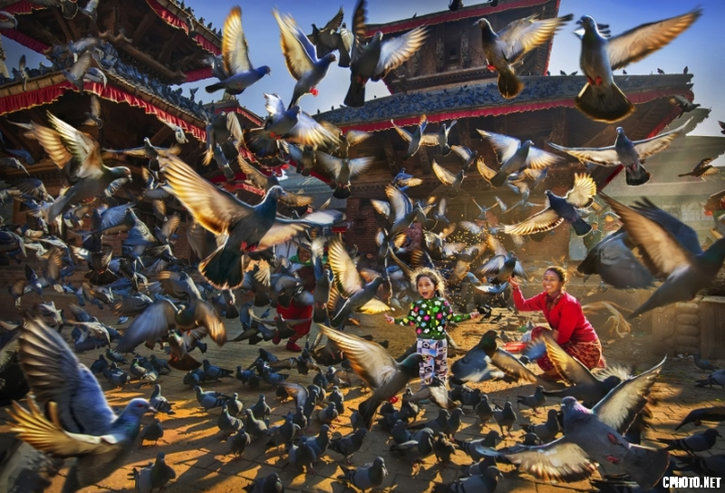Birds fly around-VICTORY P.W. Silver medal_调整大小.png