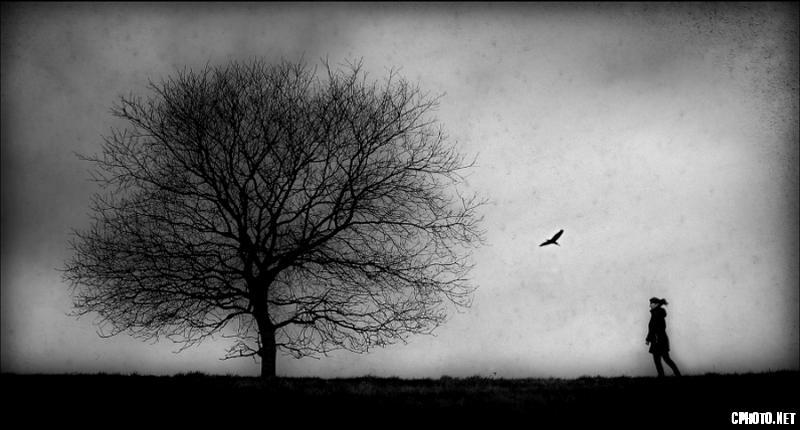 Tree of Life - VICTORY P.W. Silver medal_调整大小.png