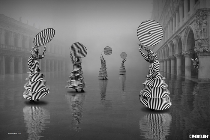 Zebra Dance_调整大小.jpg