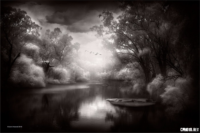 Misty Morning_调整大小.jpg