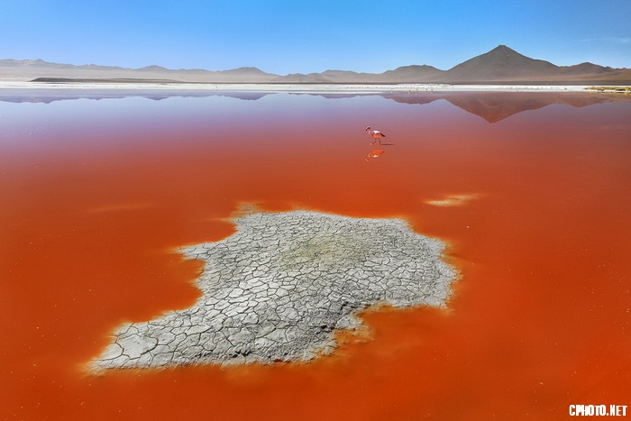 red world bolivia_调整大小.jpg