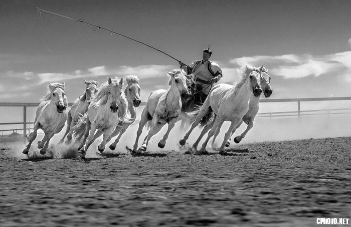 herdsman and seven steed 1 安喜平.jpg