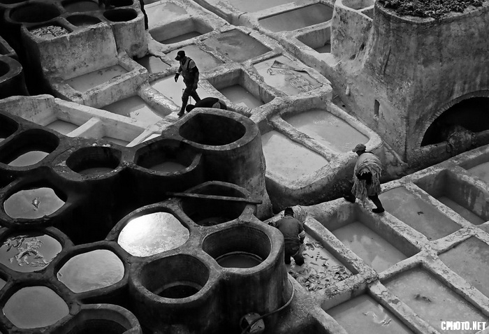 tannery in fez.jpg