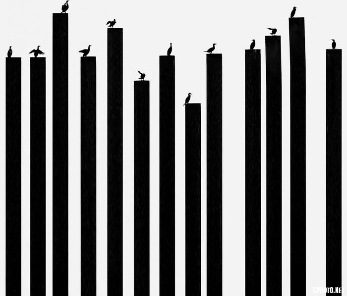 调整大小 rhythm.jpg
