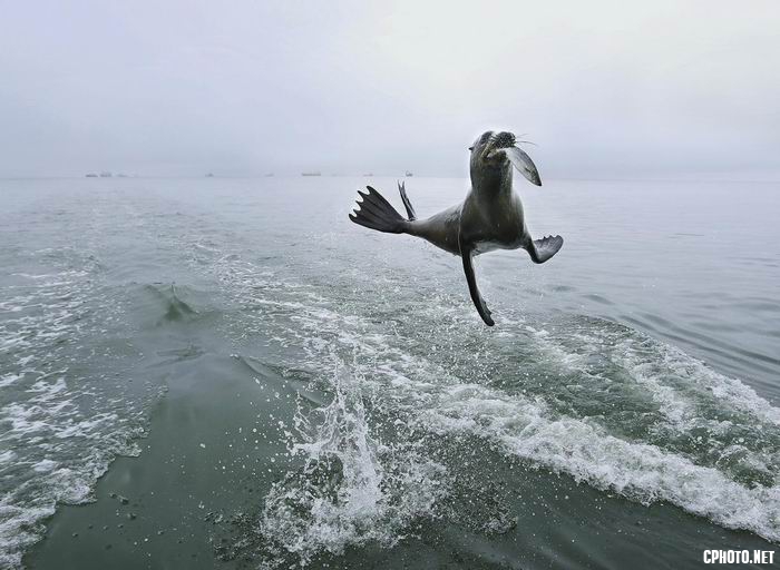 调整大小 Catch.jpg