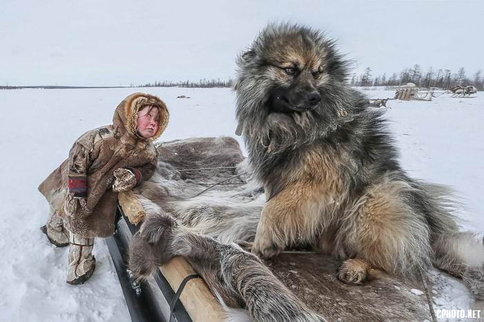 调整大小 little nenets nedko 11.jpg
