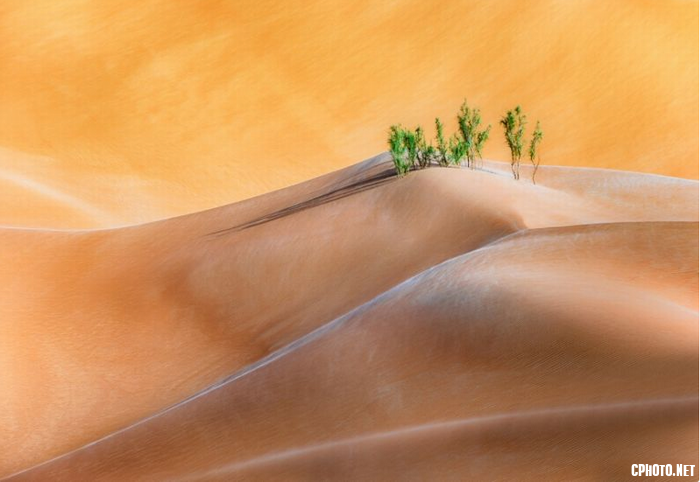 Green Desert.png