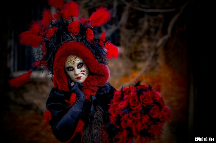 The Venetian Red Rose.png