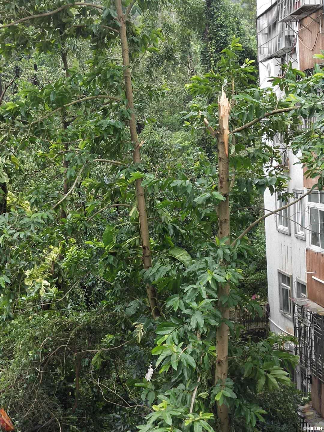 微信图片_20180917095921.jpg