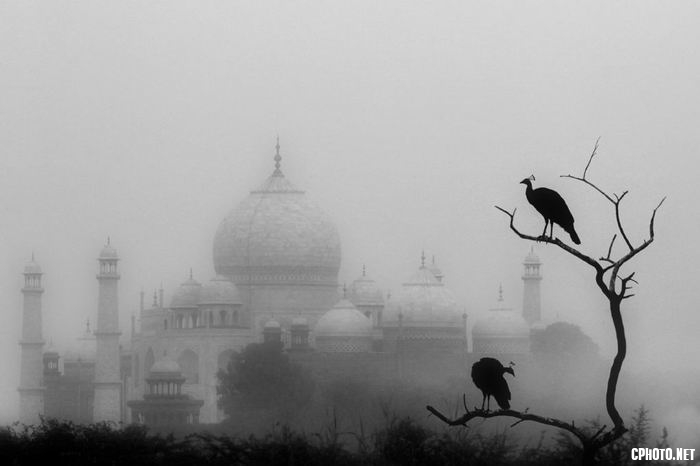 Misty_Morning.JPG