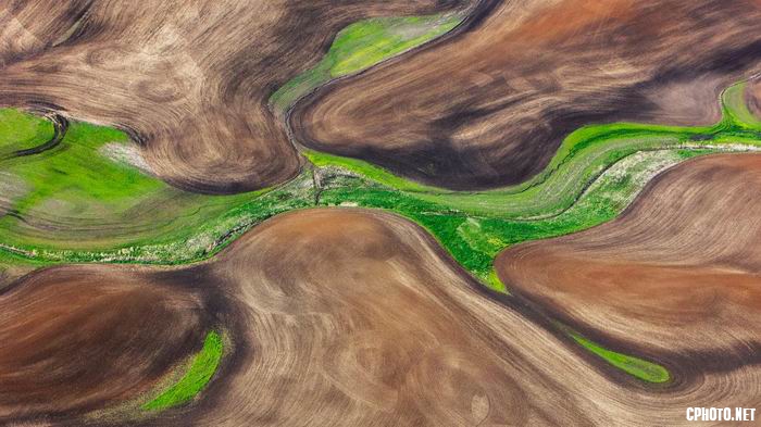 palouse 13.jpg