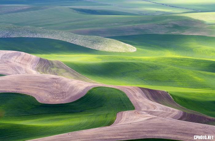 palouse velvet no3.jpg