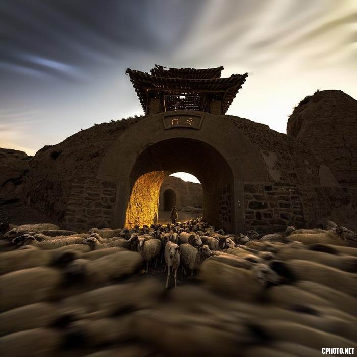 back from grazing 吴锦荣.jpg