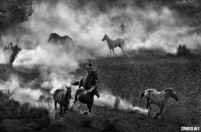Old West Venture.png