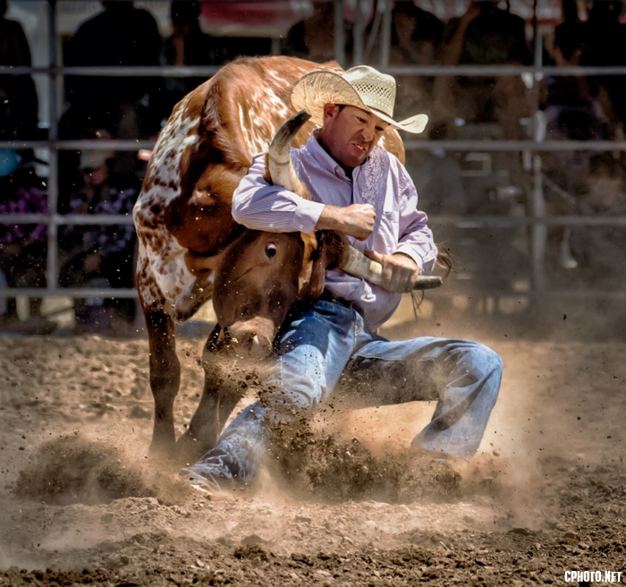 Steer Wrestling 1.png