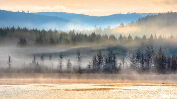 Morning Mist.png