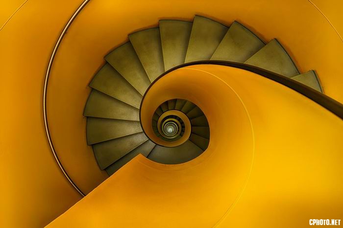 the golden eye.jpg