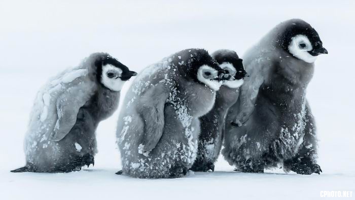 huddle 101.jpg