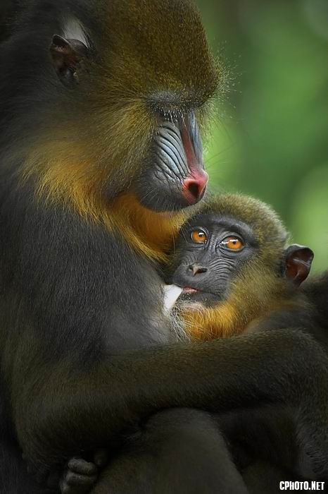 family love 02.jpg