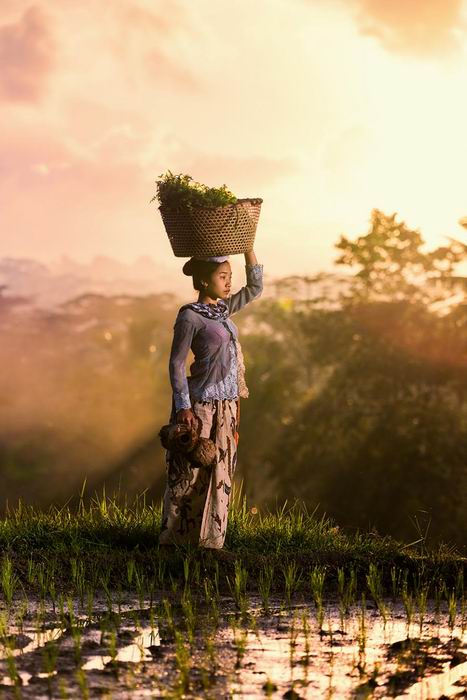 beauty on the fields 03.jpg