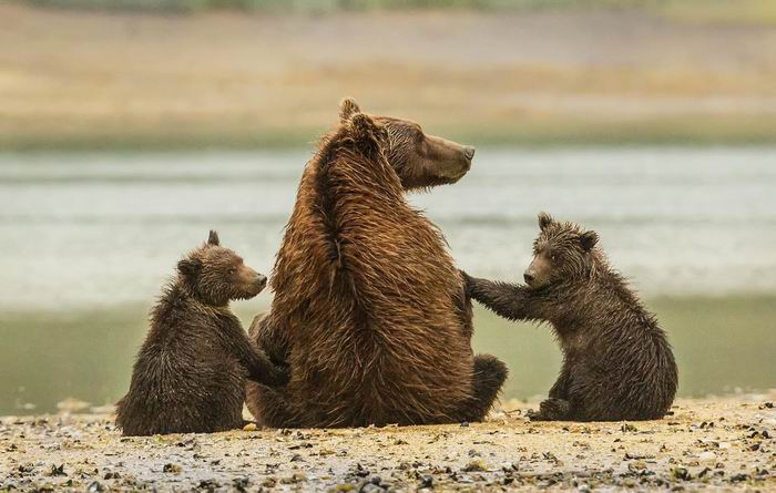 curious rubs.jpg