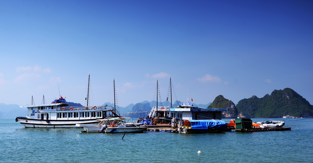 DSC_5742.JPG
