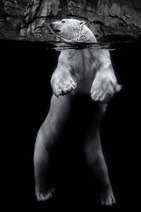 Above and Below.jpg